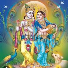 Profile photo ofYeshaswini